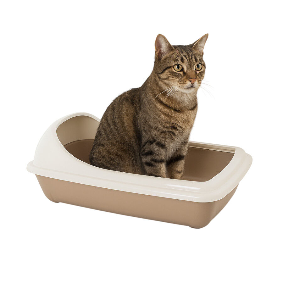 Nice Care Bandeja Sanitaria Birba Cornice Beige para gatos, , large Imagen numero 1